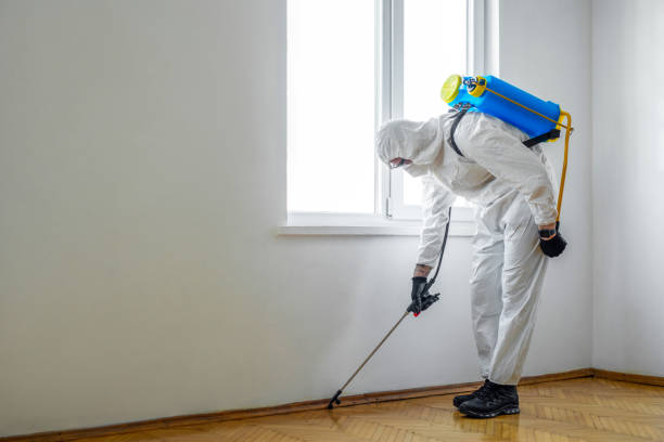 Best Real Estate Pest Inspections  in Clinton, MI